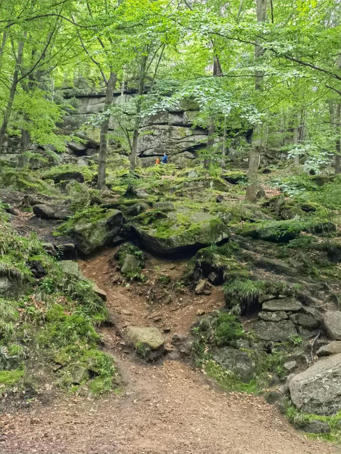 Osrodek Wypoczynkowy Nad Wodospadem Przesieka Buitenkant foto